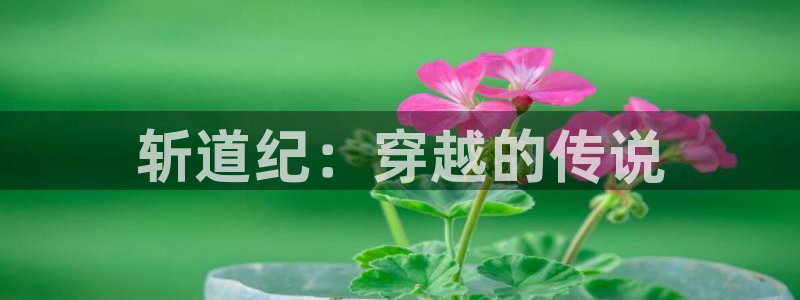 黑莲花攻略手册漫画免费包子漫画