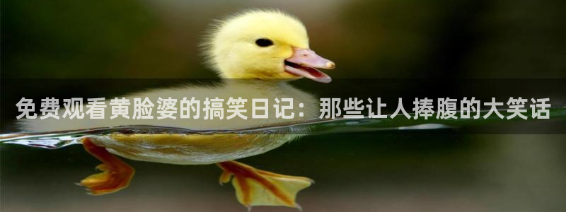 包子漫画com.：免费观看黄脸婆的搞笑日记：那些让人捧腹的大笑话